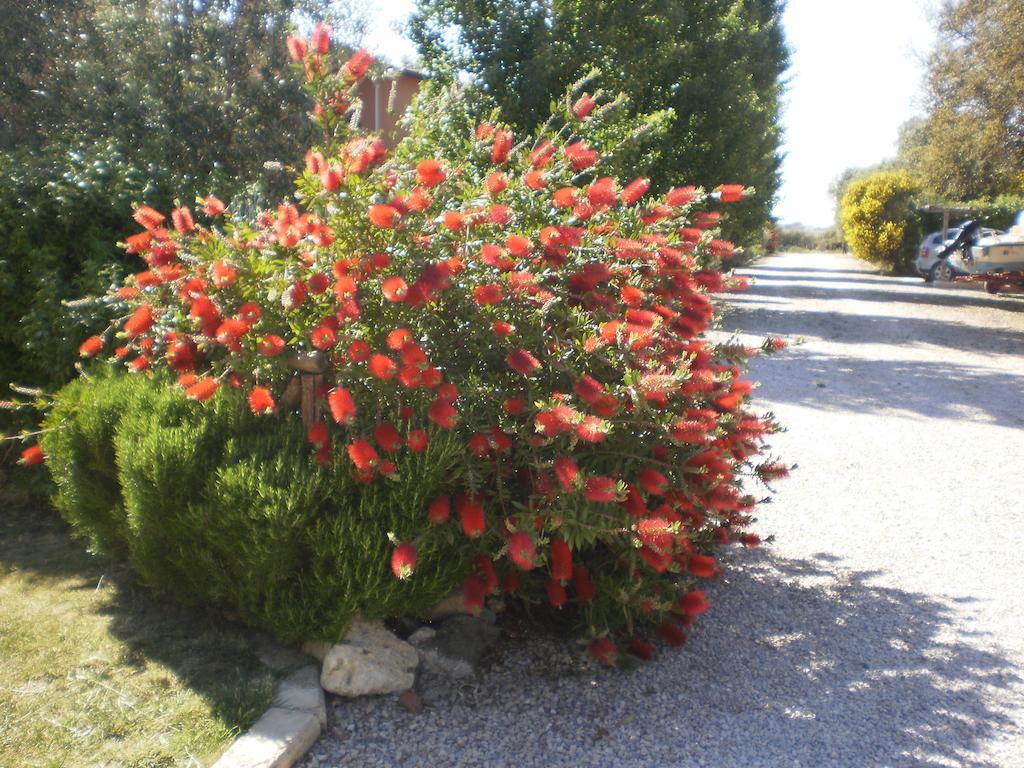 Locanda Degli Etruschi Montalto di Castro Exteriör bild