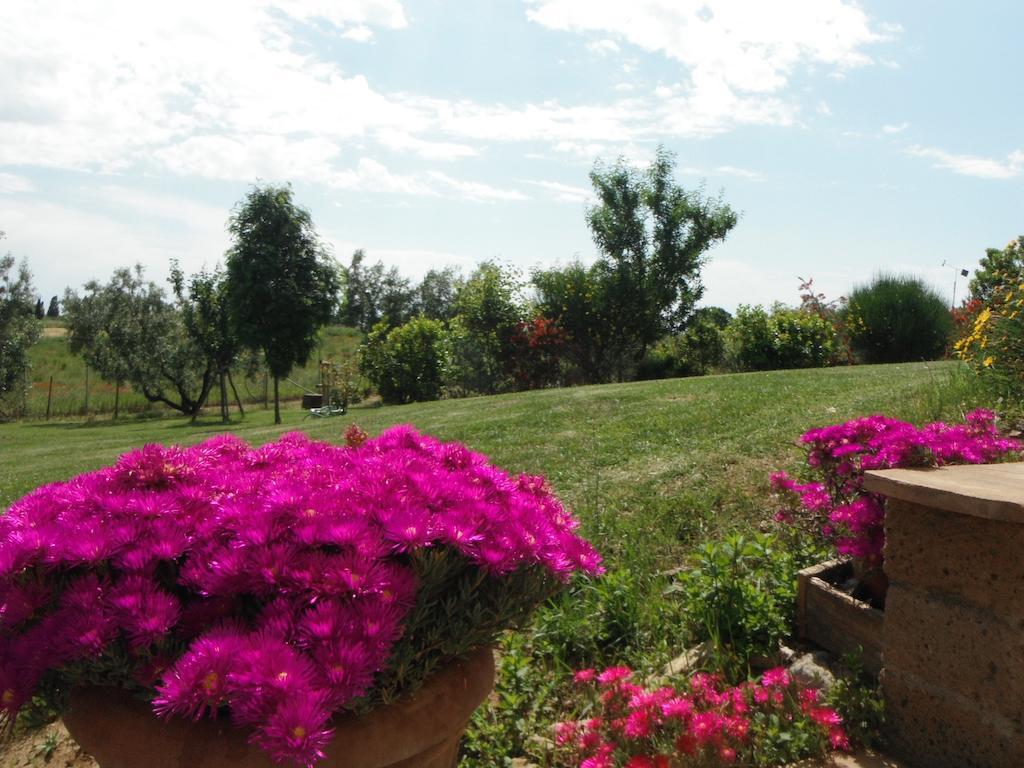Locanda Degli Etruschi Montalto di Castro Exteriör bild