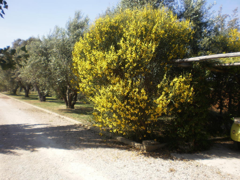 Locanda Degli Etruschi Montalto di Castro Exteriör bild